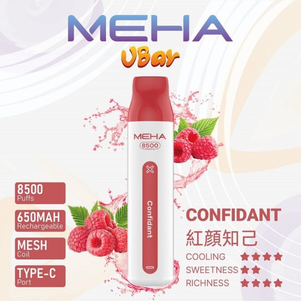 MEHA魅嗨8500口可充電拋棄式，買十送一！潮流口感，續航無限！」